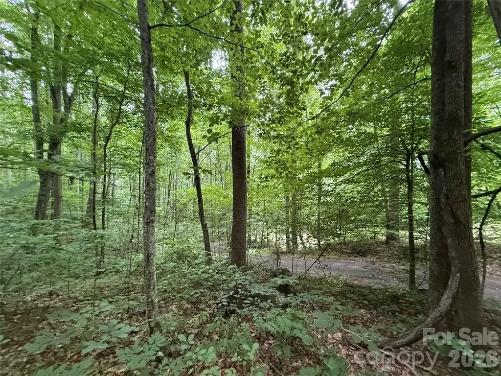 9999 Countryside Estate Barnardsville NC 28709