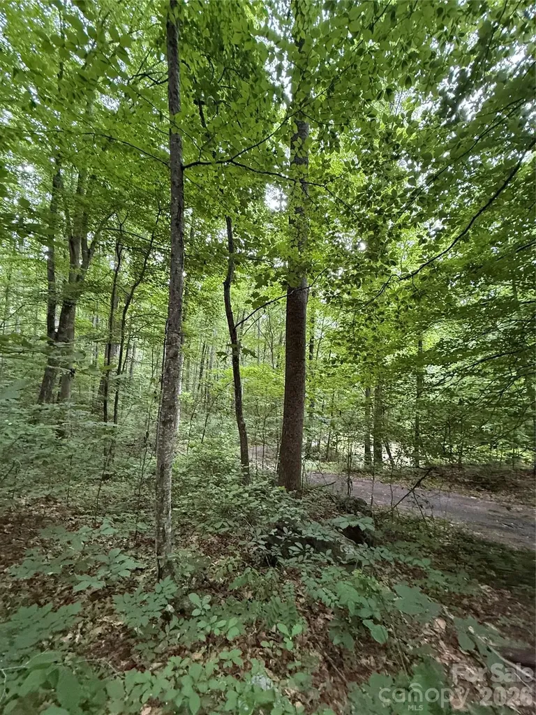 9999 Countryside Estate Barnardsville NC 28709