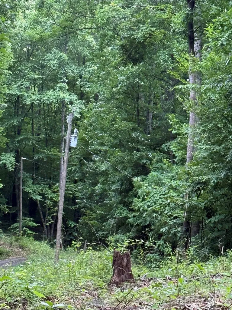 9999 Countryside Estate Barnardsville NC 28709