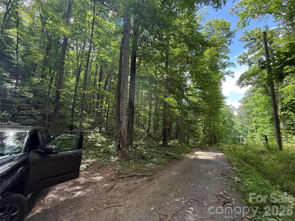 9999 Countryside Estate Barnardsville NC 28709