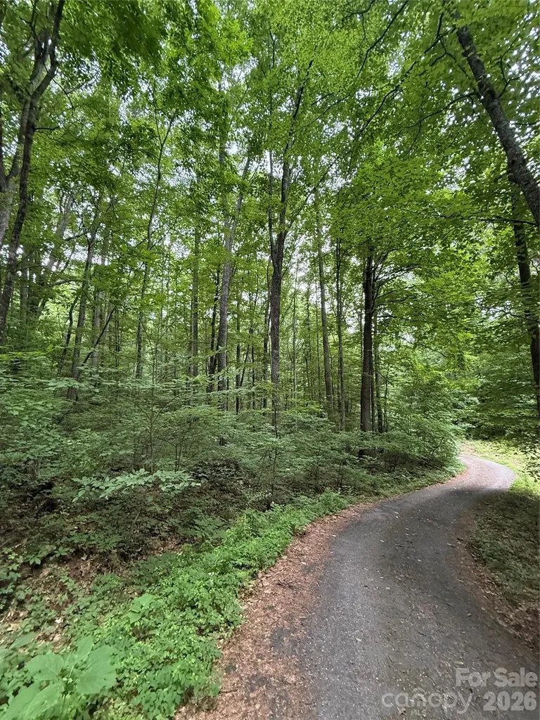 9999 Countryside Estate Barnardsville NC 28709