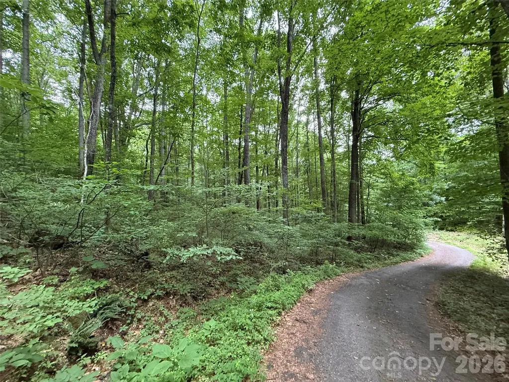 9999 Countryside Estate Barnardsville NC 28709