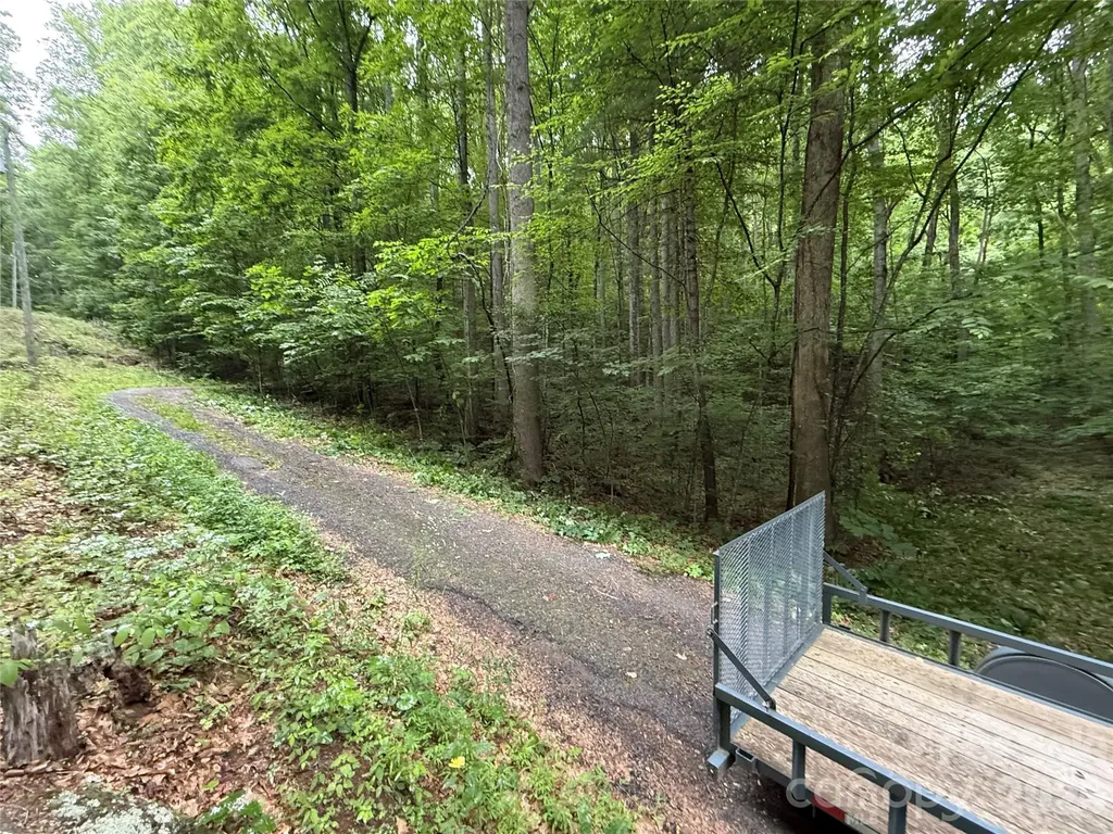 9999 Countryside Estate Barnardsville NC 28709
