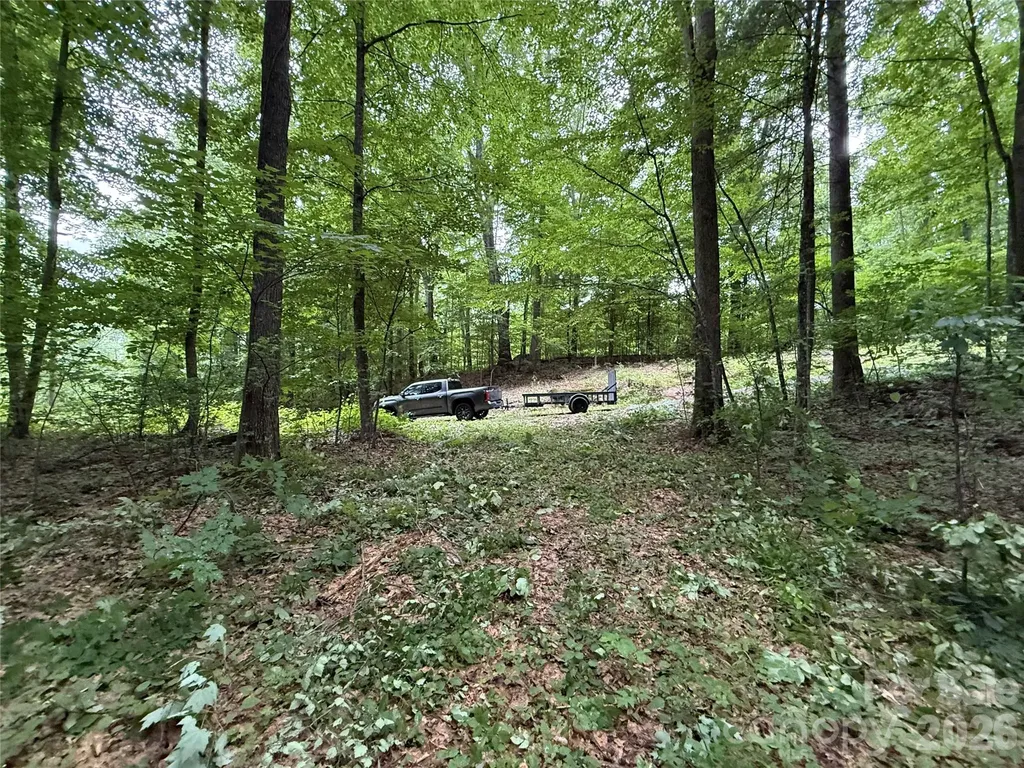 9999 Countryside Estate Barnardsville NC 28709
