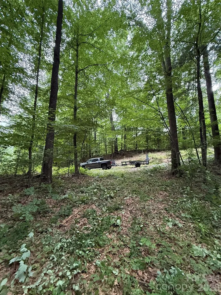 9999 Countryside Estate Barnardsville NC 28709
