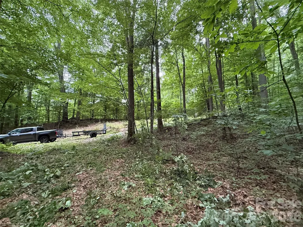 9999 Countryside Estate Barnardsville NC 28709