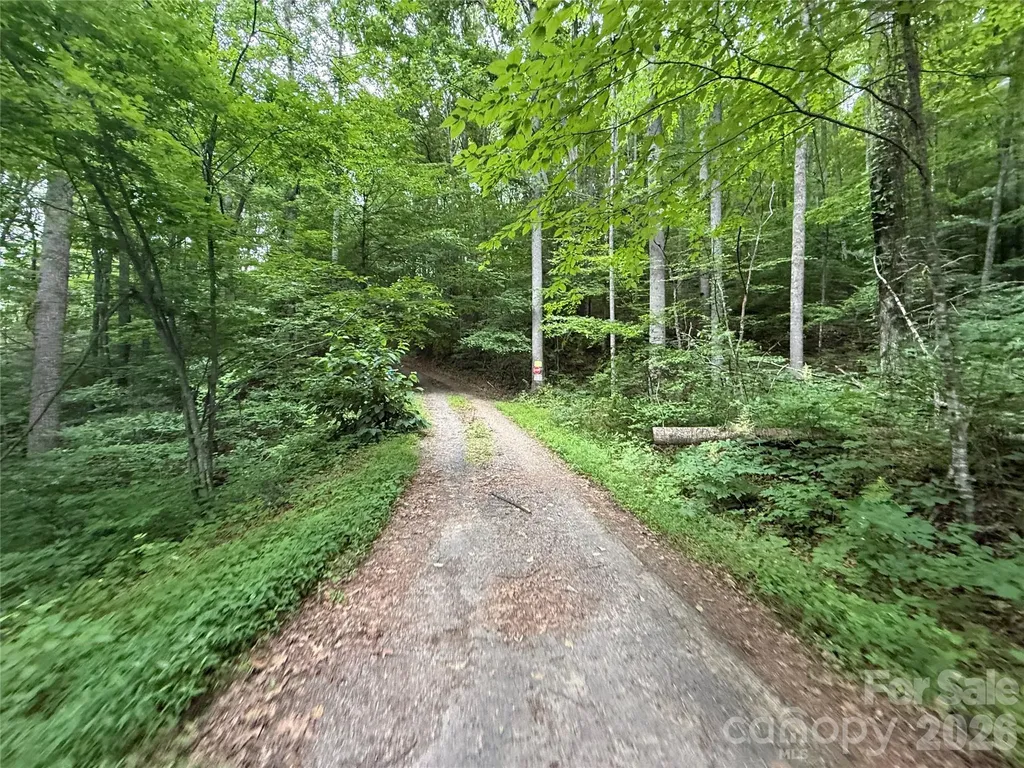 9999 Countryside Estate Barnardsville NC 28709