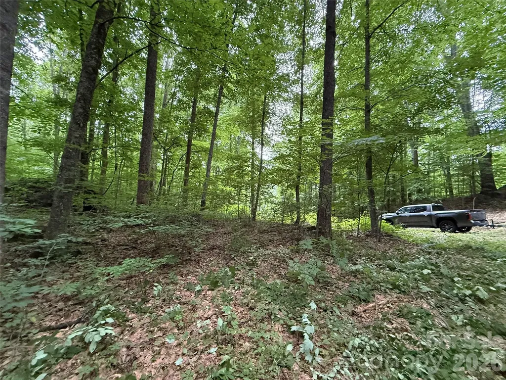 9999 Countryside Estate Barnardsville NC 28709
