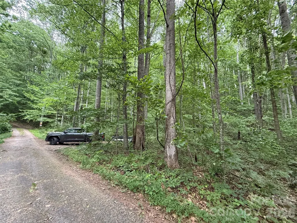 9999 Countryside Estate Barnardsville NC 28709