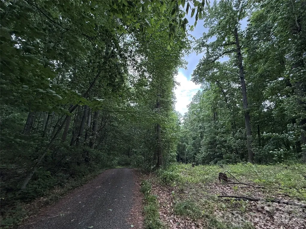 9999 Countryside Estate Barnardsville NC 28709