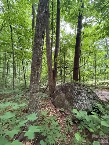 9999 Countryside Estate Barnardsville NC 28709