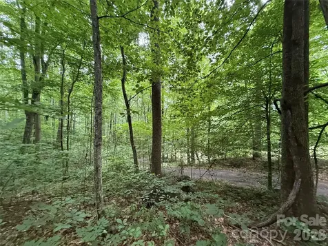 9999 Countryside Estate Barnardsville NC 28709