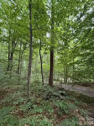 9999 Countryside Estate Barnardsville NC 28709