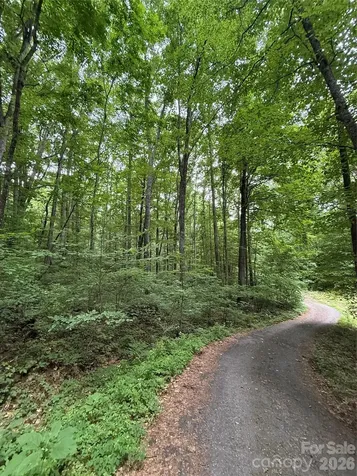 9999 Countryside Estate Barnardsville NC 28709