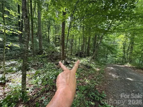 9999 Countryside Estate Barnardsville NC 28709