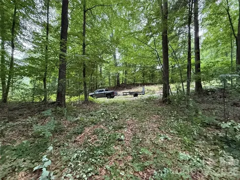 9999 Countryside Estate Barnardsville NC 28709