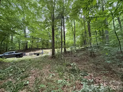 9999 Countryside Estate Barnardsville NC 28709