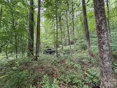 9999 Countryside Estate Barnardsville NC 28709