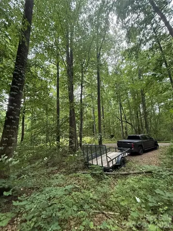 9999 Countryside Estate Barnardsville NC 28709