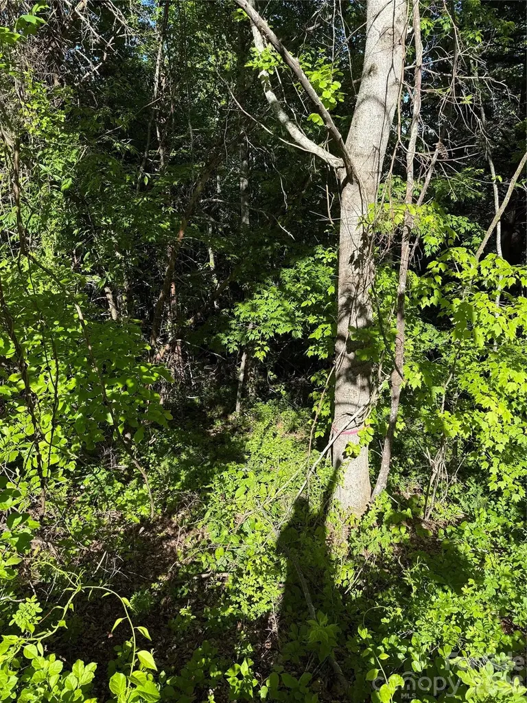 9999 Hunters Ridge Road Canton NC 28716