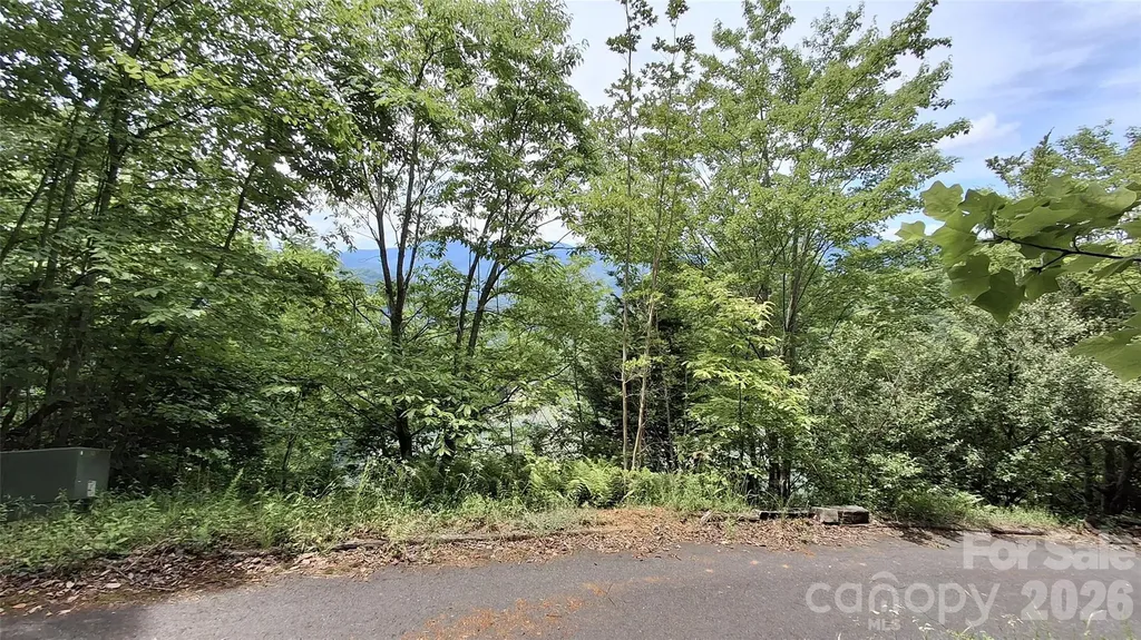 77 Kako Ridge Sylva NC 28779