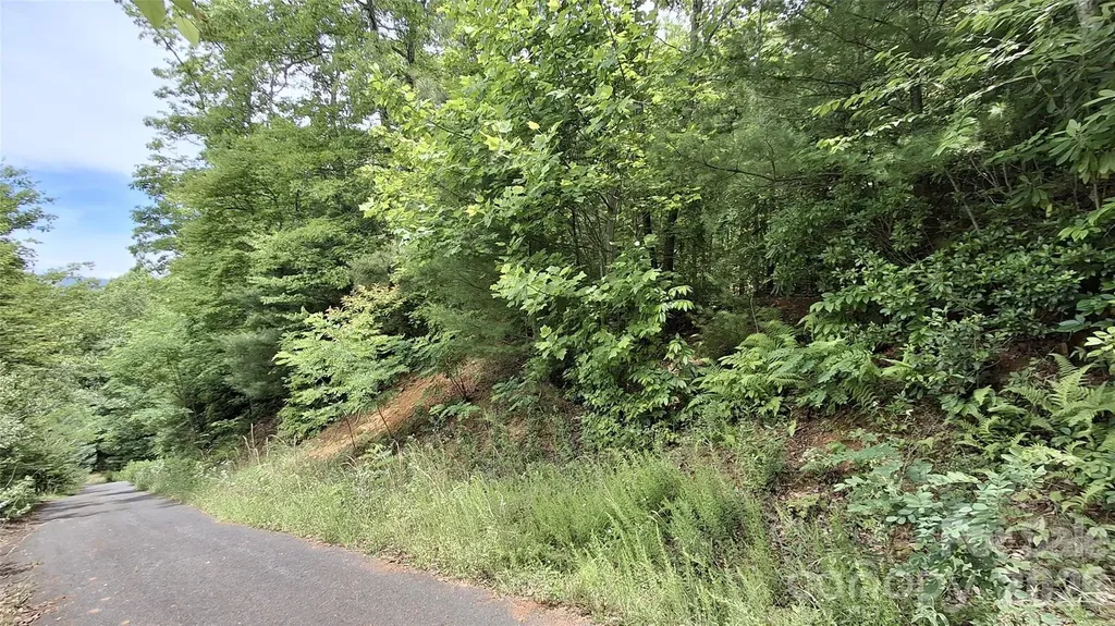 77 Kako Ridge Sylva NC 28779