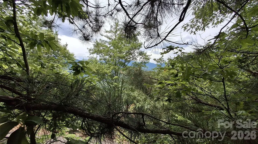 77 Kako Ridge Sylva NC 28779