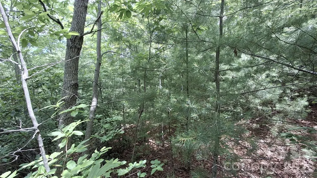 77 Kako Ridge Sylva NC 28779
