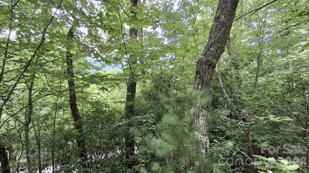 77 Kako Ridge Sylva NC 28779