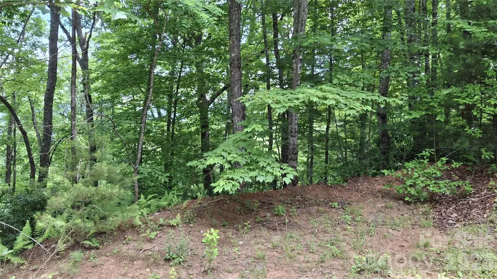 77 Kako Ridge Sylva NC 28779