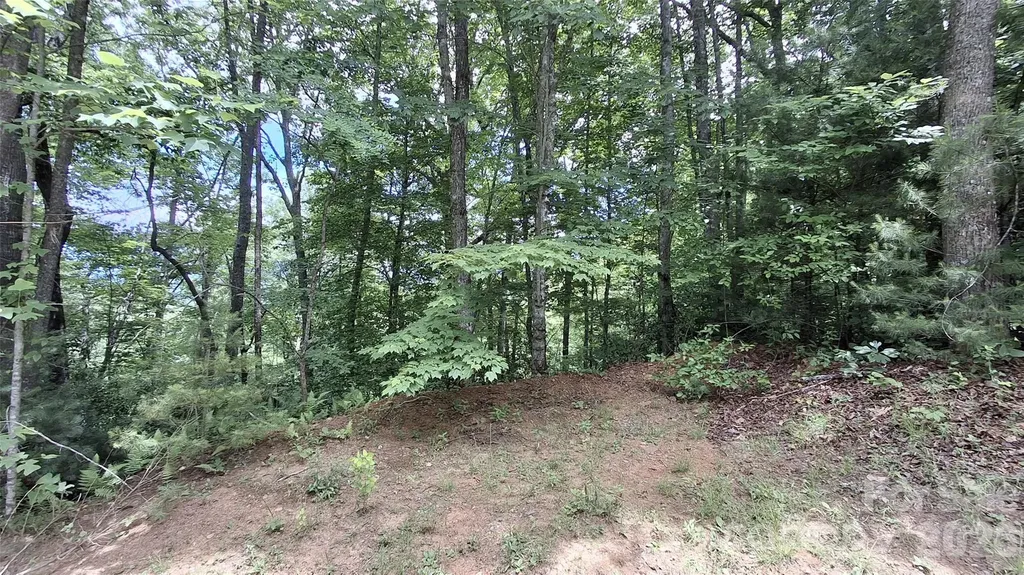 77 Kako Ridge Sylva NC 28779