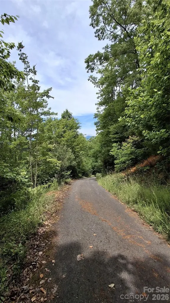 77 Kako Ridge Sylva NC 28779