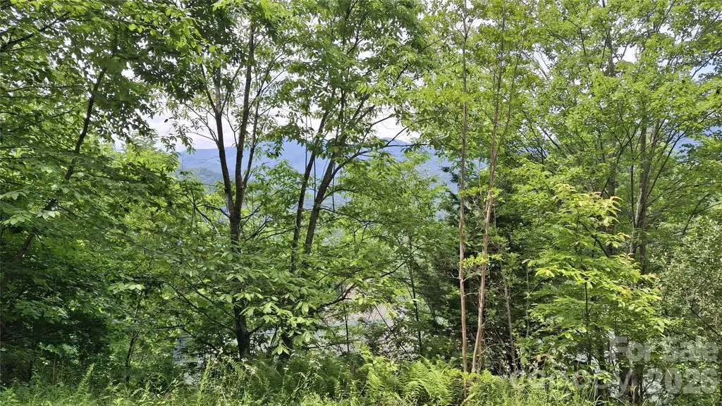 77 Kako Ridge Sylva NC 28779