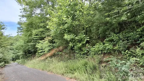 77 Kako Ridge Sylva NC 28779