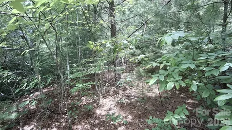 77 Kako Ridge Sylva NC 28779