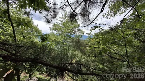 77 Kako Ridge Sylva NC 28779