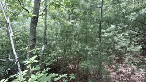 77 Kako Ridge Sylva NC 28779