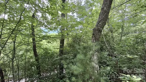 77 Kako Ridge Sylva NC 28779