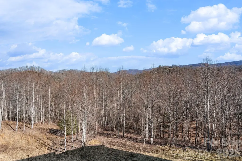 171 Pleasant View Drive Vilas NC 28692