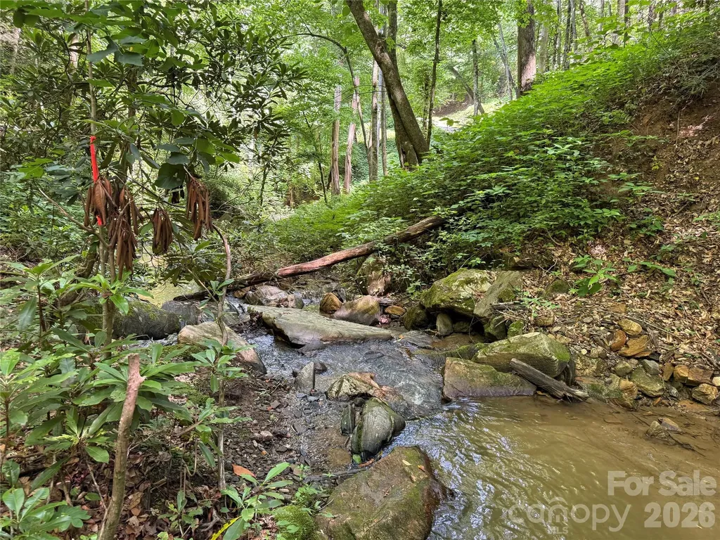 700 Copperhead Cove Sylva NC 28779