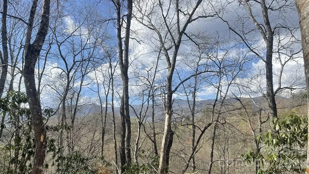 700 Copperhead Cove Sylva NC 28779