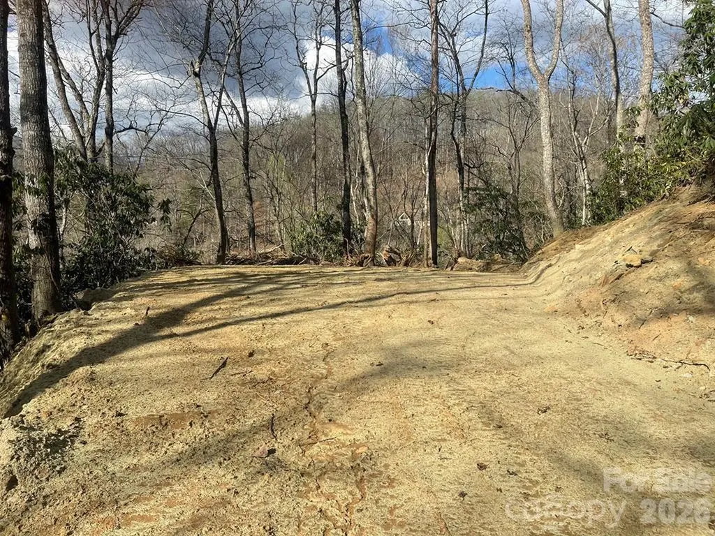 700 Copperhead Cove Sylva NC 28779
