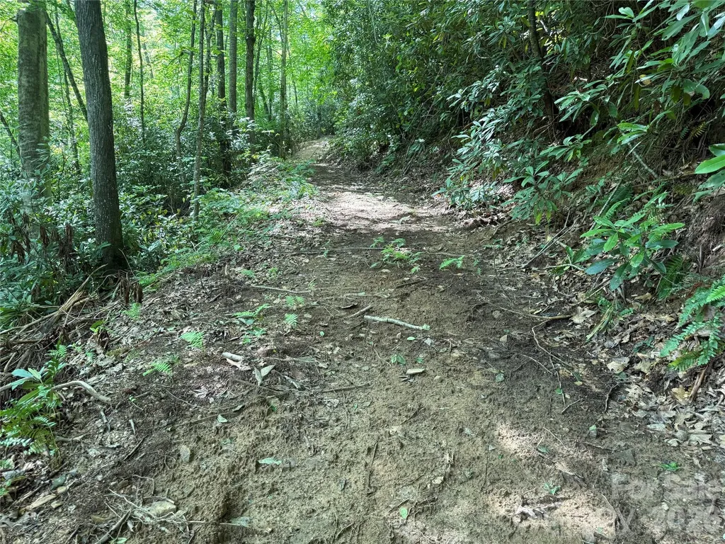 700 Copperhead Cove Sylva NC 28779