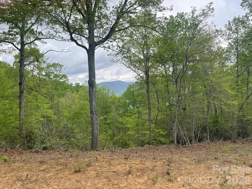 700 Copperhead Cove Sylva NC 28779
