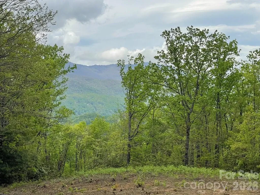 700 Copperhead Cove Sylva NC 28779