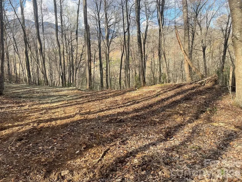 700 Copperhead Cove Sylva NC 28779