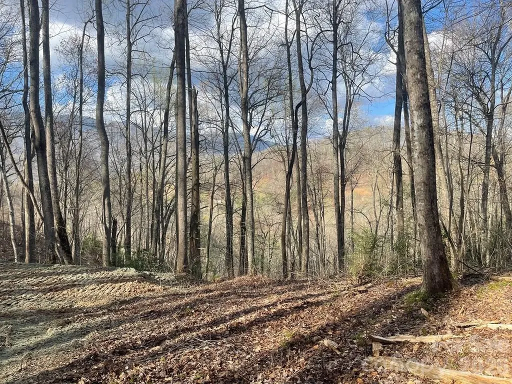 700 Copperhead Cove Sylva NC 28779