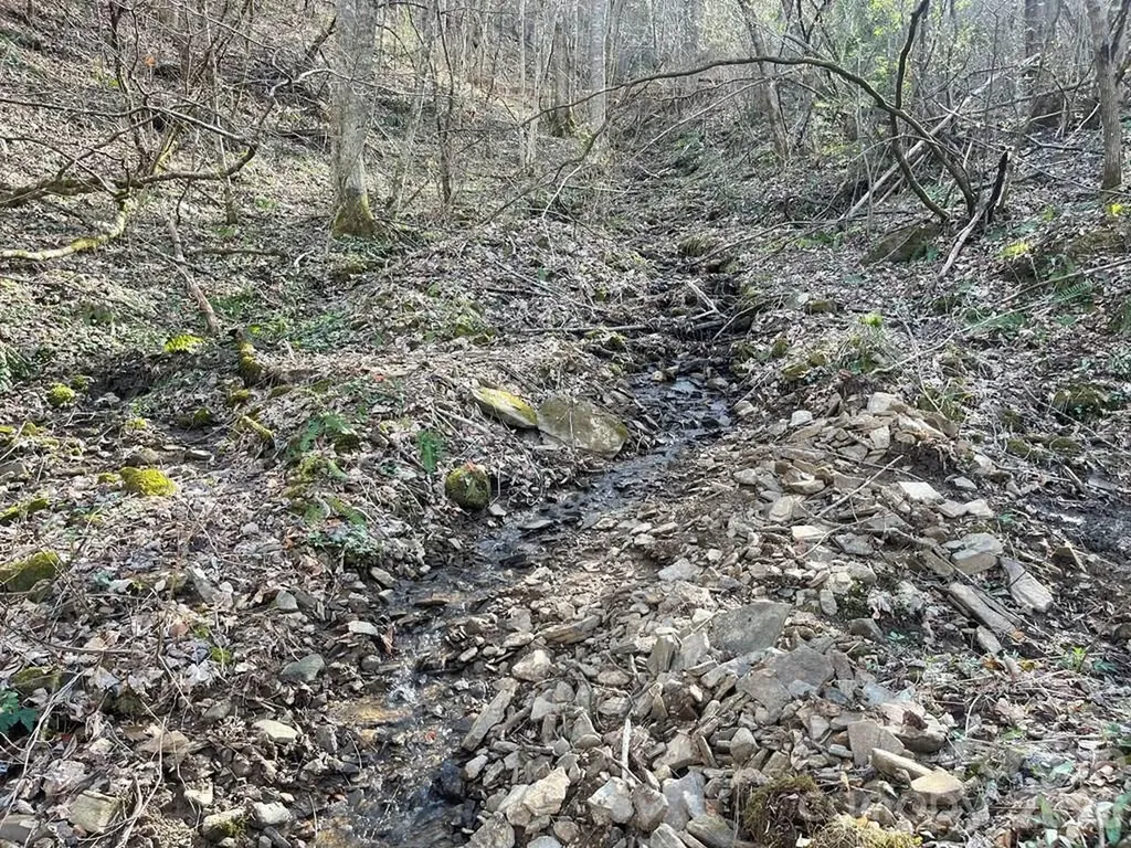 700 Copperhead Cove Sylva NC 28779