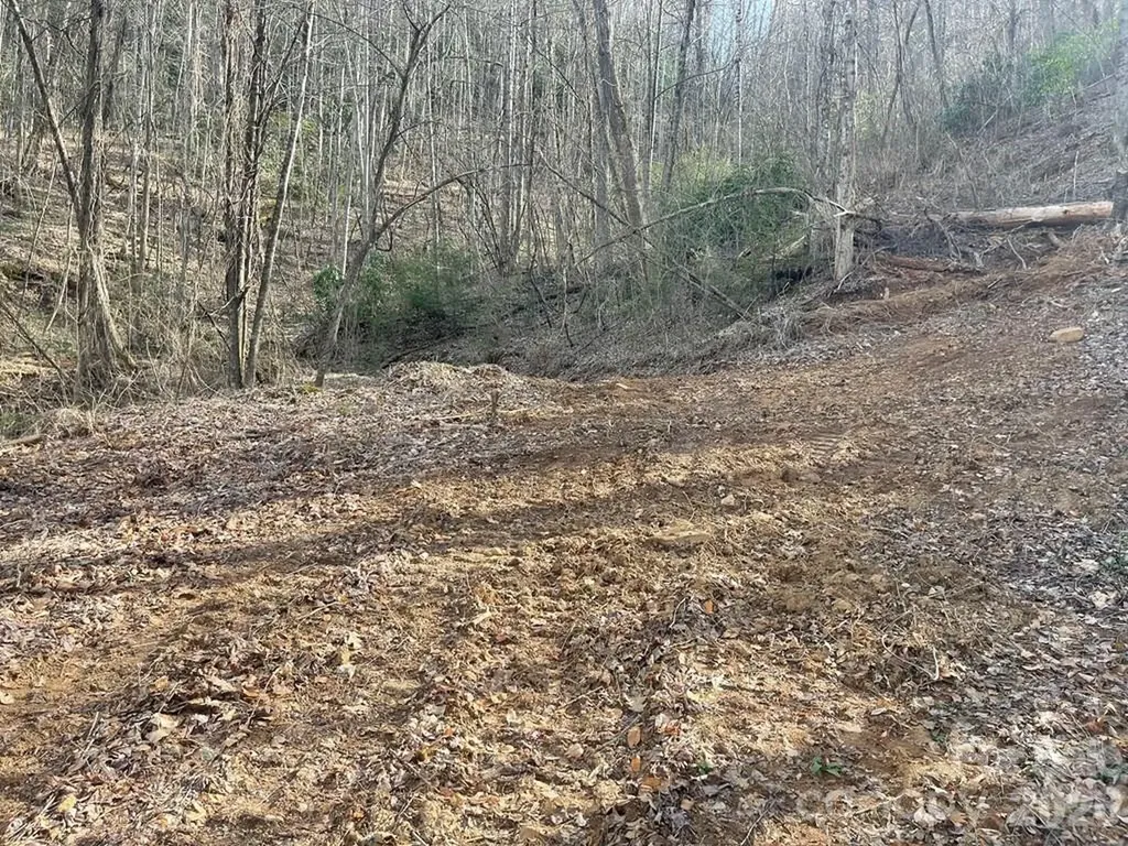 700 Copperhead Cove Sylva NC 28779
