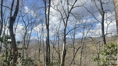 700 Copperhead Cove Sylva NC 28779